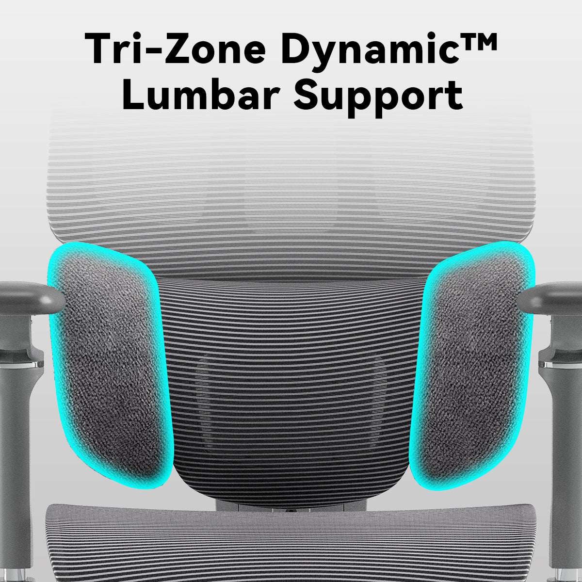 MUSSO H80 Pro FlexiPosture Ergonomic Office Chair