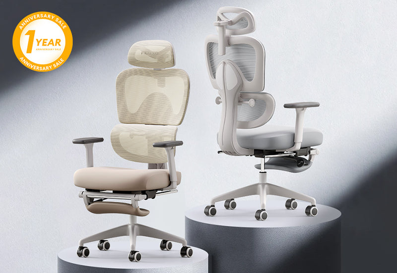 E600 SE Relaxure Ergonomic Office Chair