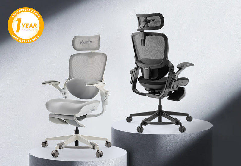 E80 Muse FemmePosture Ergonomic Office Chair