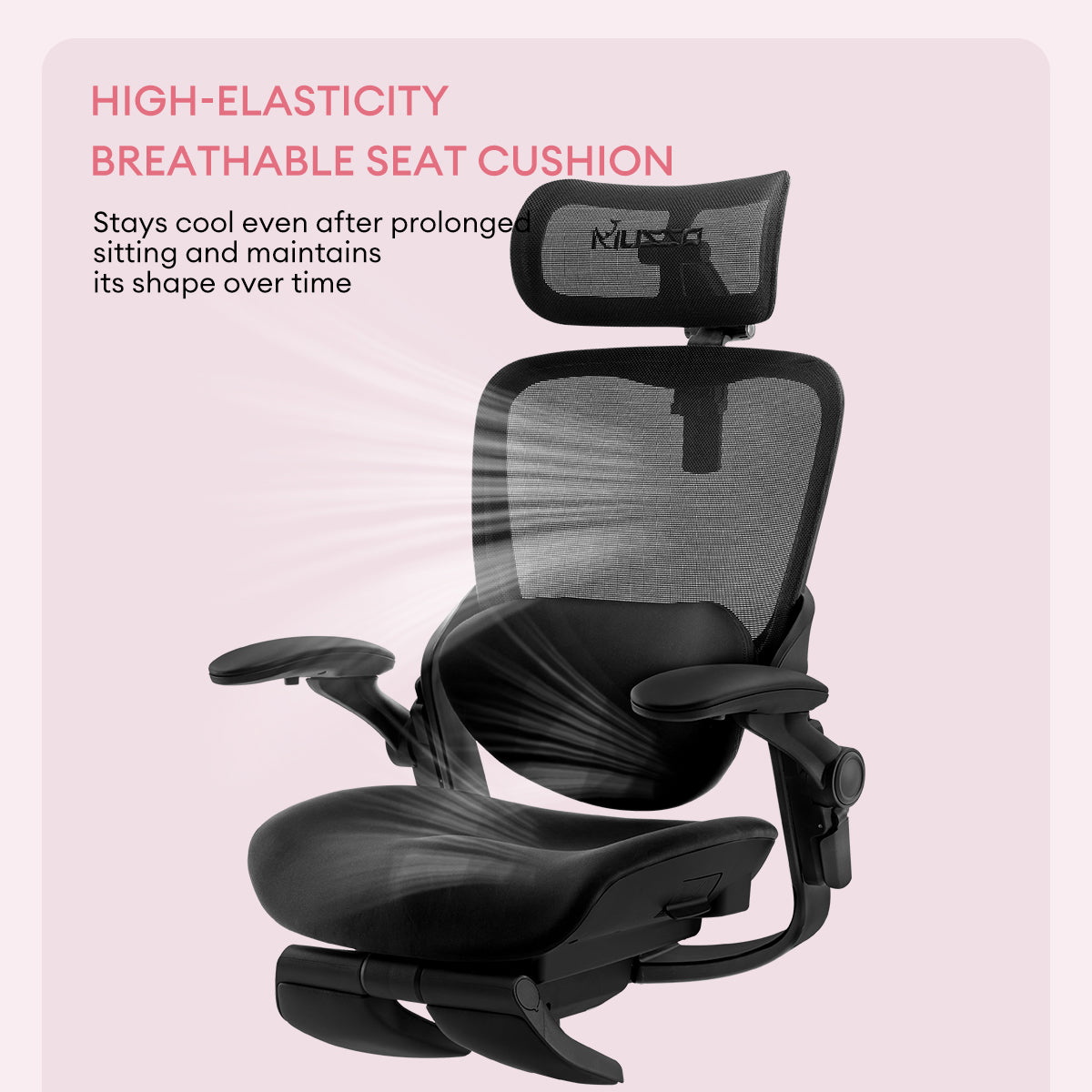 E80-bl